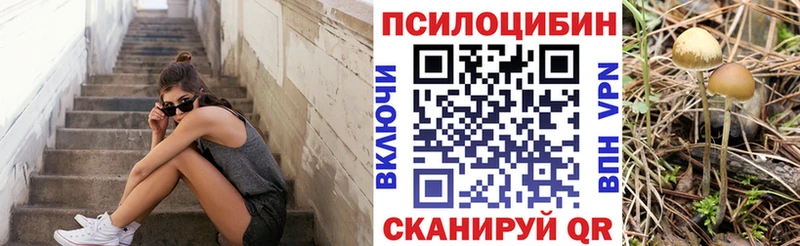 Галлюциногенные грибы Psilocybine cubensis  Грязи 